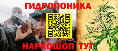 прущие крисы Ирбит
