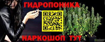 прущие крисы Ирбит