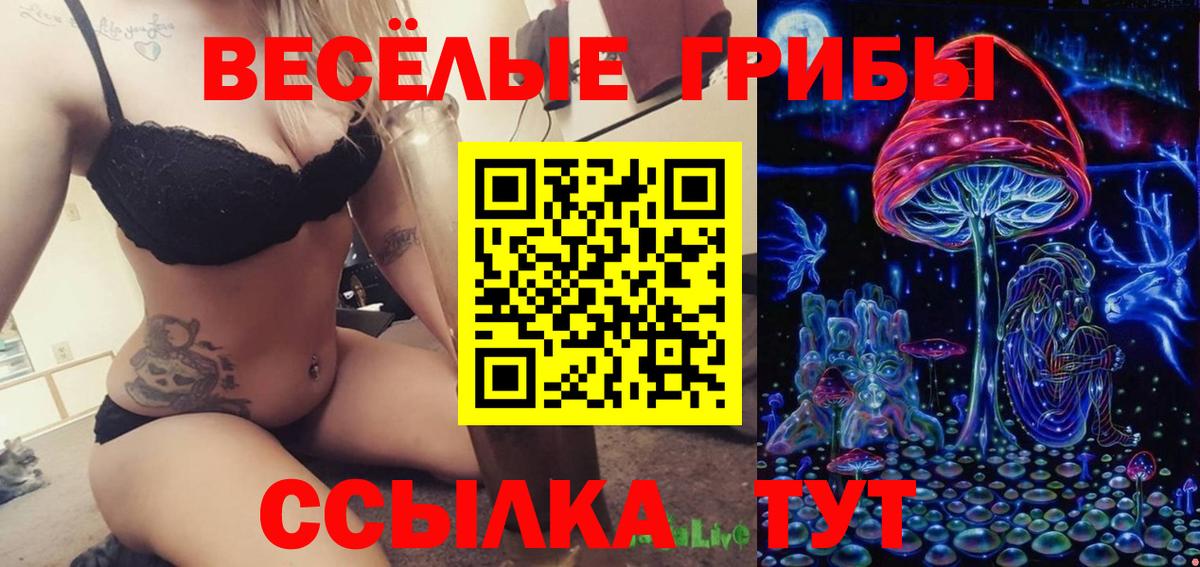 Курчалой  Галлюциногенные грибы GOLDEN TEACHER  Вход с VPN 